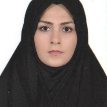 Mahsa Soheil Shamaee